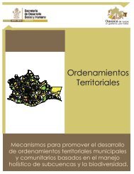 Tema 5-Ordenamientos Territoriales.pdf - SecretarÃ­a de Desarrollo ...