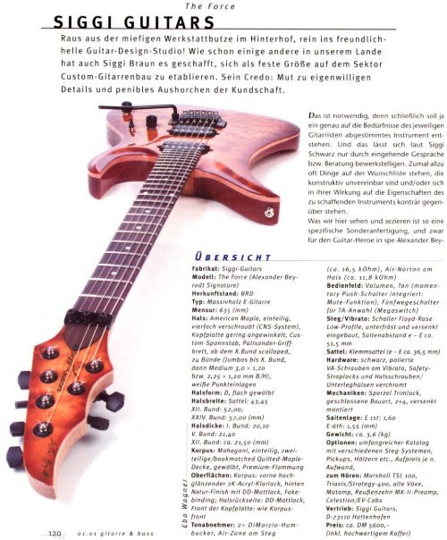 SIGGI GUITARS Siggi Braun Fine Young Guitars