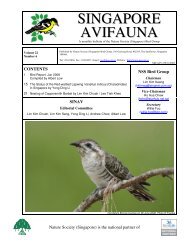 Singapore Avifauna Vol 22 No 6 - Singapore Bird Group - Nature ...