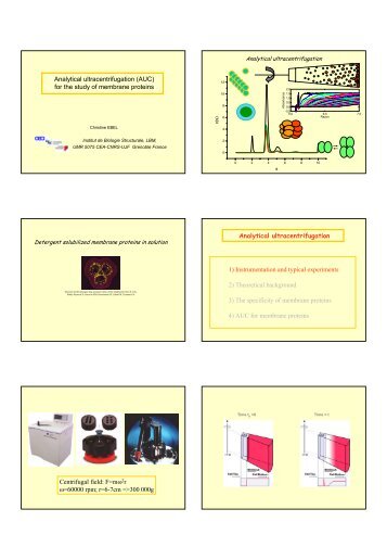 Analytical ultracentrifugation (AUC) for the study of ... - LISM