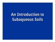 An Introduction to Subaqueous Soils - NeSoil