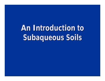 An Introduction to Subaqueous Soils - NeSoil