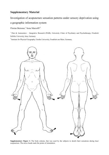 Supplementary Material Investigation of acupuncture sensation ...