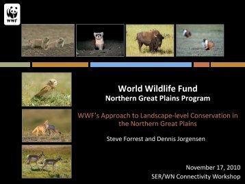 World Wildlife Fund: Northern Great Plains Program - Global ...