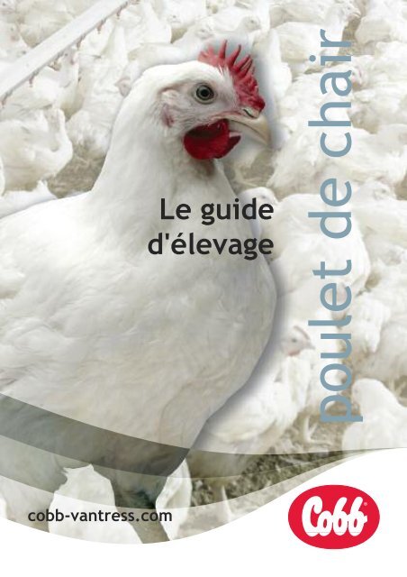 poulet de chair - Cobb