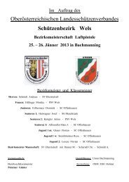 Bezirksmeisterschaft Wels