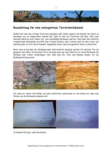 Bauanleitung für eine naturgetreue Terrarienrückwand - Antaresia.info