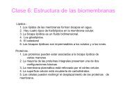 Clase 6: Estructura de las biomembranas - psicobiologia