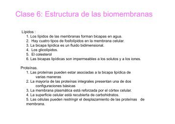 Clase 6: Estructura de las biomembranas - psicobiologia