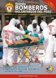 REVISTA BOMBEROS NOVIEMBRE II - Cuerpo General de ...