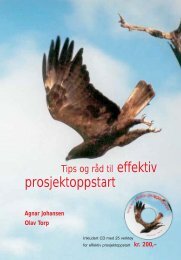 Tips og råd til effektiv prosjektoppstart - Norsk senter for ...