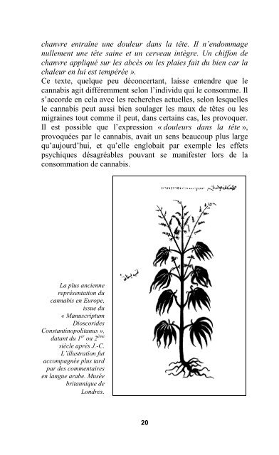 Cannabis en Médecine - International Association for Cannabinoid ...