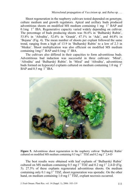 MICROCLONAL PROPAGATION OF Vaccinium SP. AND Rubus SP ...