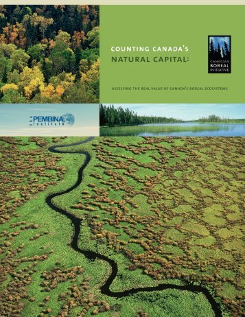 Counting Canada's Natural Capital: Assessing the Real Value