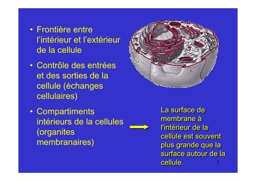 membrane plasmique - Poly-Prepas