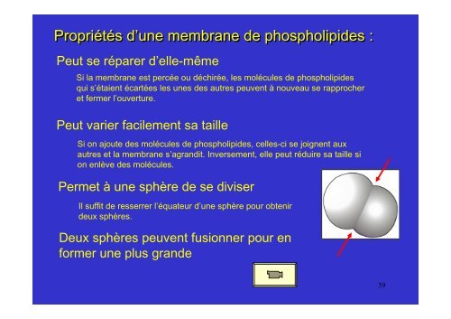 membrane plasmique - Poly-Prepas