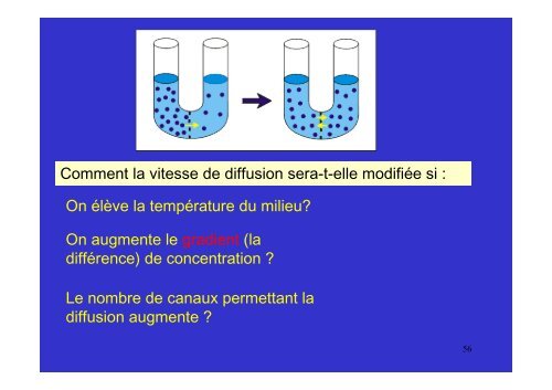 membrane plasmique - Poly-Prepas