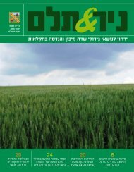 × ××¨ ××ª×× ×××××× ××¡' 3 - ×× ×××¨ 2008 - ××¨××× ×¢×××× ××¤×××