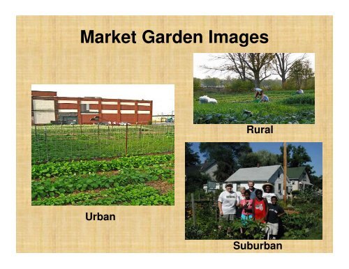 Market Gardening: Introduction - Sarasota County Extension