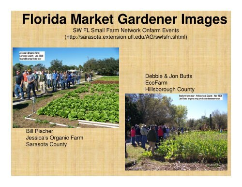 Market Gardening: Introduction - Sarasota County Extension