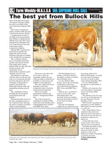 WA Supreme Bull Sale Preview - Simmental Australia