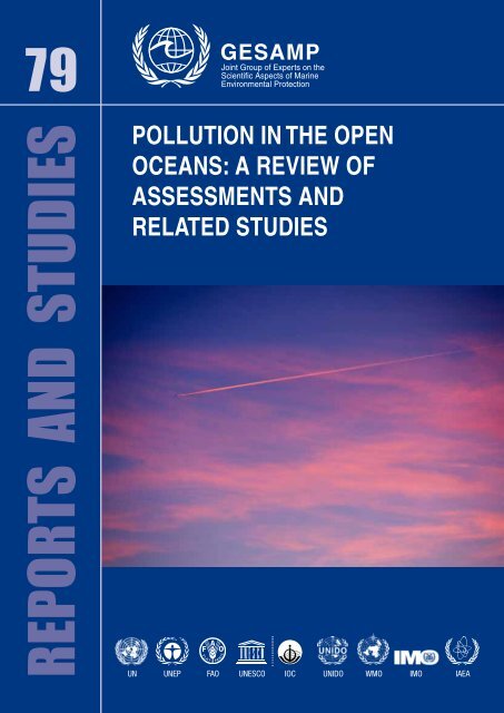 POLLUTION IN THE OPEN OCEANS: A REVIEW OF ... - GESAMP