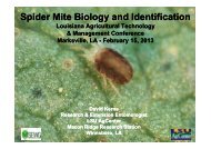 Spite Mite Biology and Identification - Louisiana Agricultural ...