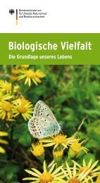 Biologische Vielfalt - Die Grundlage unseres Lebens - BiodiversitÃ¤t ...