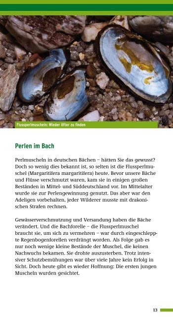 Biologische Vielfalt - Die Grundlage unseres Lebens - BiodiversitÃ¤t ...