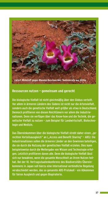 Biologische Vielfalt - Die Grundlage unseres Lebens - BiodiversitÃ¤t ...