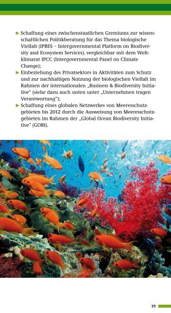 Biologische Vielfalt - Die Grundlage unseres Lebens - BiodiversitÃ¤t ...