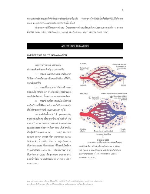 Hand out sheet - มหาวิทยาลัยนเรศวร