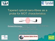 Tapered optical fibres as a probe from MOT characteristics