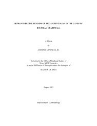 HUMAN SKELETAL REMAINS OF THE ANCIENT MAYA IN THE ...