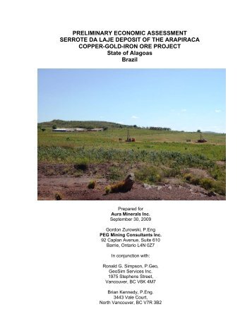 PRELIMINARY ECONOMIC ASSESSMENT ... - Aura Minerals Inc.