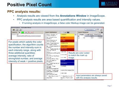 Positive Pixel Count - School of Medical Sciences