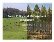 Forest Policy and Management in Uruguay - sofew