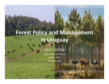 Forest Policy and Management in Uruguay - sofew