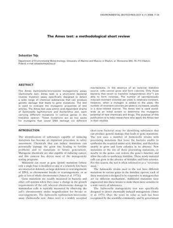 The Ames test: a methodological short review