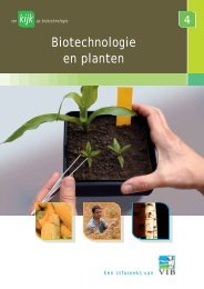 Biotechnologie en planten - VIB