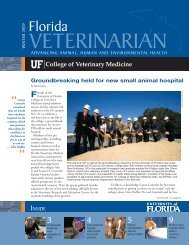 Florida Veterinarian, Winter 2009 (PDF) - University of Florida ...