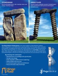 STONEHENGE HINGE PLATE - Stratmed.co.za