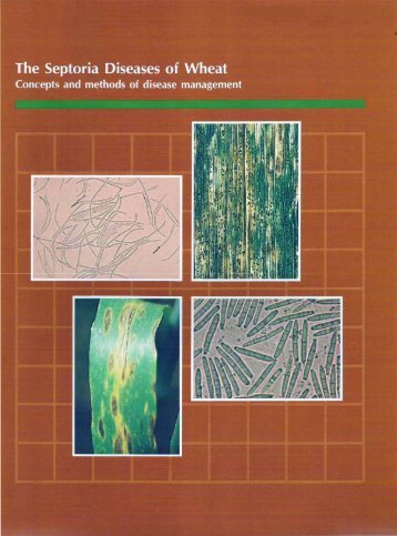 The Septoria Diseases of Wheat - IBSA