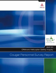 Cougar Personnel Survey Report - Offshore Helicopter Safety Inquiry