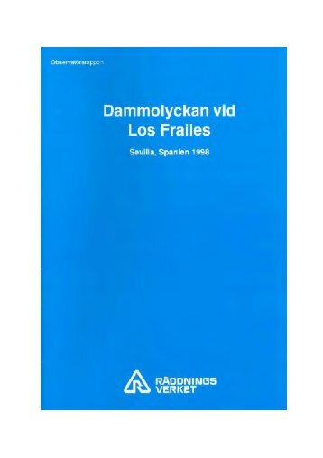 Dammolyckan vid Los Frailes Sevilla, Spanien 1998