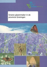 Groene glazenmaker in de provincie Groningen - Vlindernet
