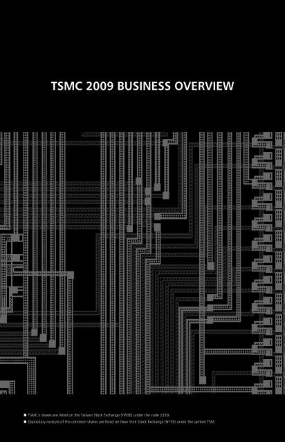 2009 Business Overview - TSMC