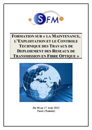 Formation sur - Sfm Telecom