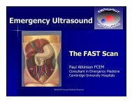 Emergency Ultrasound, The FAST Scan - Mr Paul Atkinson ...