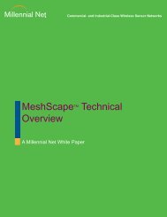 MeshScapeTM Technical Overview - Millennial Net